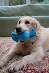 Petface Berty Retro Sweet Plush Dog Toy