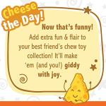 Nylabone Tough Chew Toy for Medium Dogs
