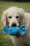Petface Berty Retro Sweet Plush Dog Toy