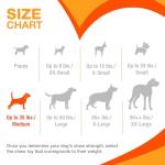 Nylabone Tough Chew Toy for Medium Dogs