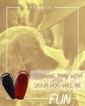 Dog Whistle Training Set - High Pitch Sounds