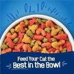 Friskies Seafood Sensations Dry Cat Food - 22 lb