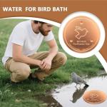 Copper Bird Bath Cleaning Disks - 2 Pack