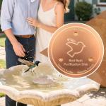 Copper Bird Bath Cleaning Disks - 2 Pack