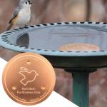 Copper Bird Bath Cleaning Disks - 2 Pack