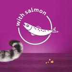 WHISKAS Temptations Salmon Crunchy Cat Treats 4x180g