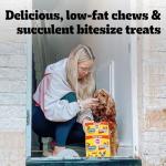 Pedigree Mega Box - Dog Treats Multipack 740g