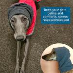 2 Pack Dog Snood Ear Warmers (Blue & Grey)