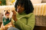 Earth Rated Pet Eye Wipes for Dogs and Cats