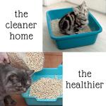Biokat Diamond Care Scented Cat Litter 30L with Catnip