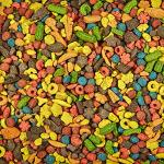 Kaytee Exact Rainbow Food for Large Parrots