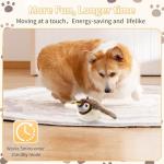 Flappy Chase Interactive Bird Toy for Cats