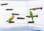8 PCS Natural Wood Bird Perch Set