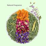 Niteangel Natural Soft Bedding for Small Pets