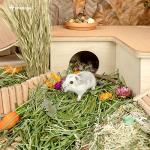 Niteangel Natural Soft Bedding for Small Pets