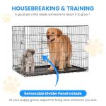 24-Inch Small Dog Crate with Double Doors
