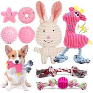 8 Pack Luxury Puppy Chew Toys and Balls