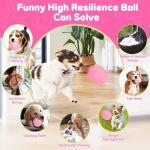8 Pack Luxury Puppy Chew Toys and Balls
