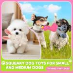 8 Pack Luxury Puppy Chew Toys and Balls