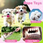8 Pack Luxury Puppy Chew Toys and Balls