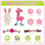 8 Pack Luxury Puppy Chew Toys and Balls
