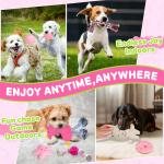 8 Pack Luxury Puppy Chew Toys and Balls