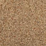 20kg Budgerigar Seed Mix for Complete Nutrition