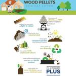 Premium Natural Wooden Cat Litter - 30L