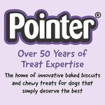 Pointer Beefy Gravy Dog Treats - 1.5kg