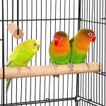 Large 37" Black & White Parrot Bird Cage