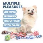Fida 4-Pack Dog Toys for Small to Medium Dogs