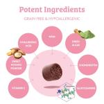 Joint Chews for Dogs - Mobility Support Formula