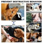 Pet First Aid Kit for Dogs and Cats