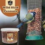 Premium High-Protein Peanuts for Wild Birds