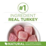 Purina ONE Indoor Weight Control Dry Cat Food