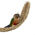 Seagrass Parrot Mat and Climbing Rope Hammock