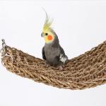Seagrass Parrot Mat and Climbing Rope Hammock