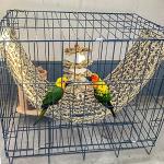 Seagrass Parrot Mat and Climbing Rope Hammock