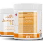 Dog Joint Supplement Powder - Beef Flavor