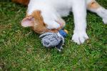 Petface Dudley Duck Cat Toy