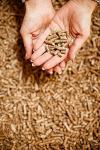 30L Biodegradable Wood Cat Litter - Odour Control