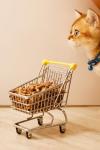 30L Biodegradable Wood Cat Litter - Odour Control