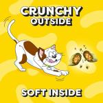 Dreamies Catnip Treats – 8 Pack Snacks