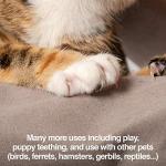 PetFusion Multipurpose Grooming and Handling Glove