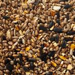 Premium Wild Bird Food, 5 Litre