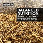 UKGROW 10L Dried Mealworms for Birds