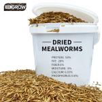 UKGROW 10L Dried Mealworms for Birds