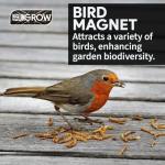 UKGROW 10L Dried Mealworms for Birds