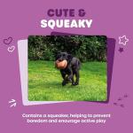 Webbox Wildlife Friends Soft Squeaky Dog Toys