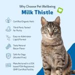 Milk Thistle for Cats - Liver Health Support